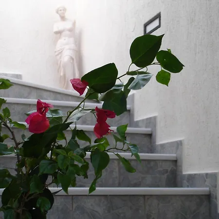 公寓式酒店 宜普卡普斯一室公寓酒店 3*