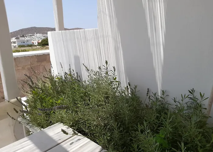 公寓式酒店 宜普卡普斯一室公寓酒店 阿达玛斯