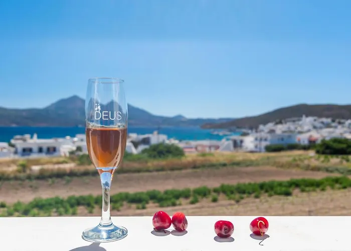 公寓式酒店 宜普卡普斯一室公寓酒店